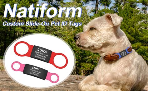 pet id tags bunnings